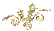 tr2.gif