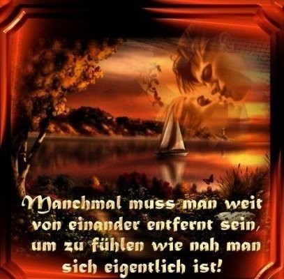 ext. Bild