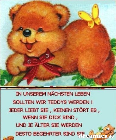 ext. Bild