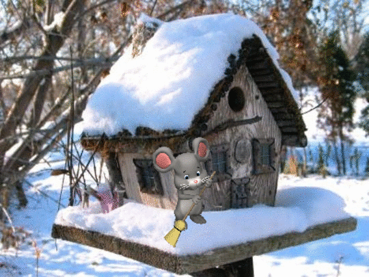 kış evleri