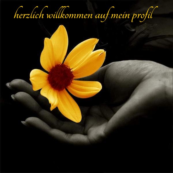 ext. Bild