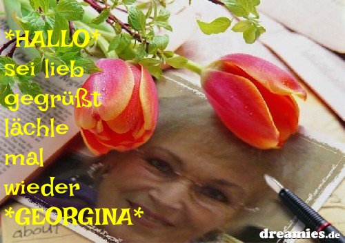 ext. Bild