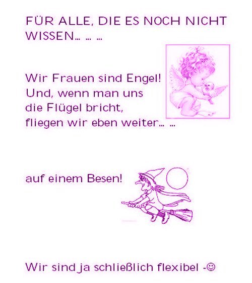 ext. Bild