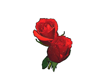 y3042pnvukc - y3042pnvukc